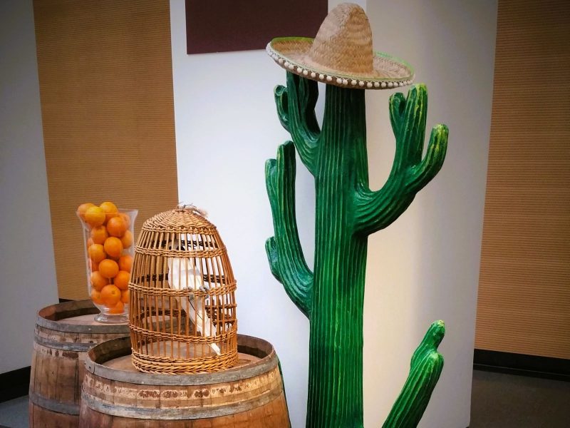 Deko Kaktus